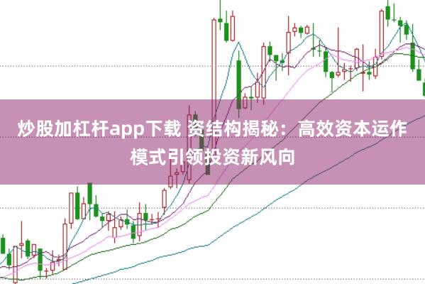 炒股加杠杆app下载 资结构揭秘：高效资本运作模式引领投资新风向