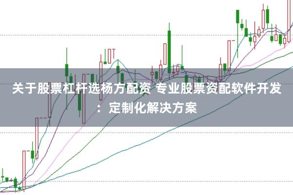 关于股票杠杆选杨方配资 专业股票资配软件开发：定制化解决方案