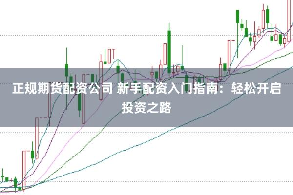 正规期货配资公司 新手配资入门指南：轻松开启投资之路