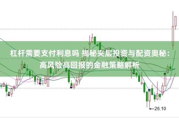 杠杆需要支付利息吗 揭秘夹层投资与配资奥秘：高风险高回报的金融策略解析