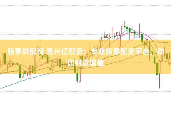 股票微配资 嘉兴亿配资：专业股票配资平台，助您财富增值