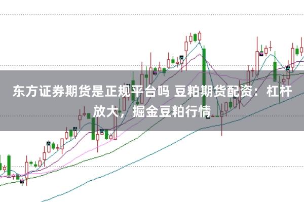 东方证券期货是正规平台吗 豆粕期货配资：杠杆放大，掘金豆粕行情