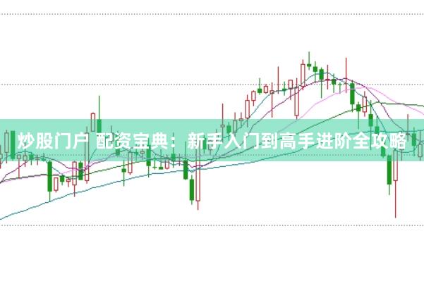 炒股门户 配资宝典：新手入门到高手进阶全攻略