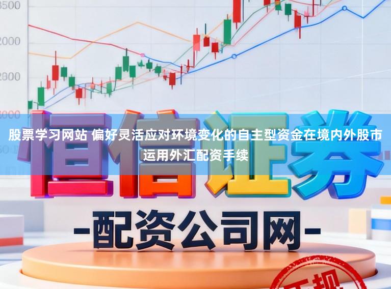 股票学习网站 偏好灵活应对环境变化的自主型资金在境内外股市运用外汇配资手续