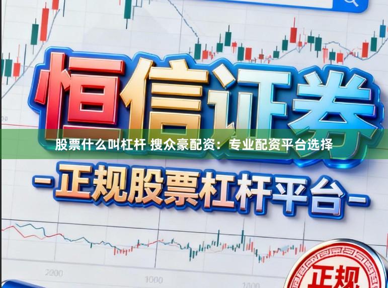 股票什么叫杠杆 搜众豪配资：专业配资平台选择